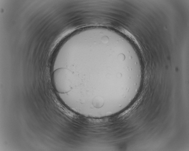 X0000066081019200604071726