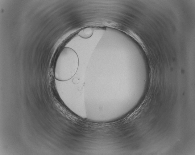 X0000066081020200604071726