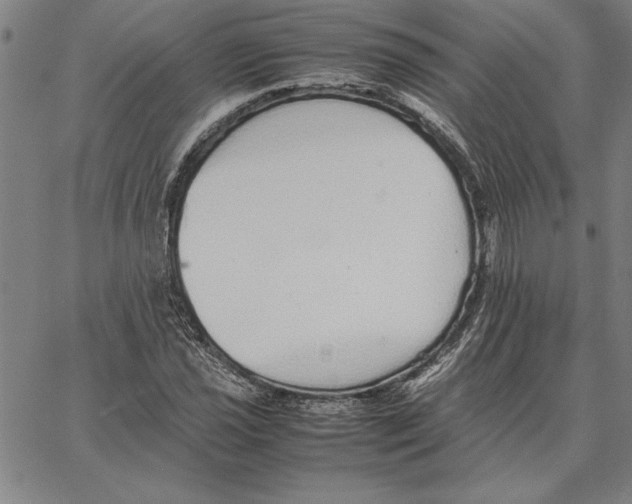 X0000066081021200604071726