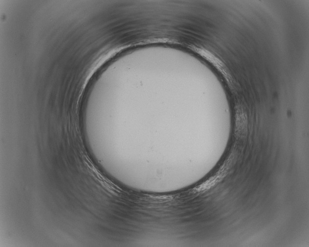 X0000066081023200604071726