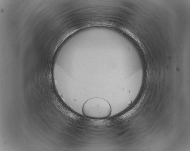 X0000066081025200604071726