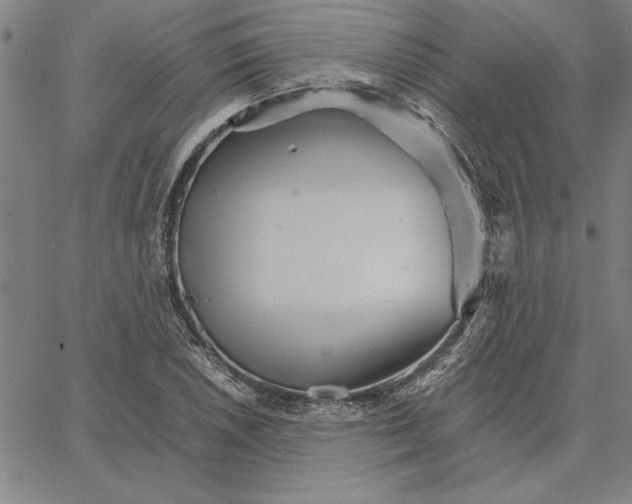 X0000066081026200604071726