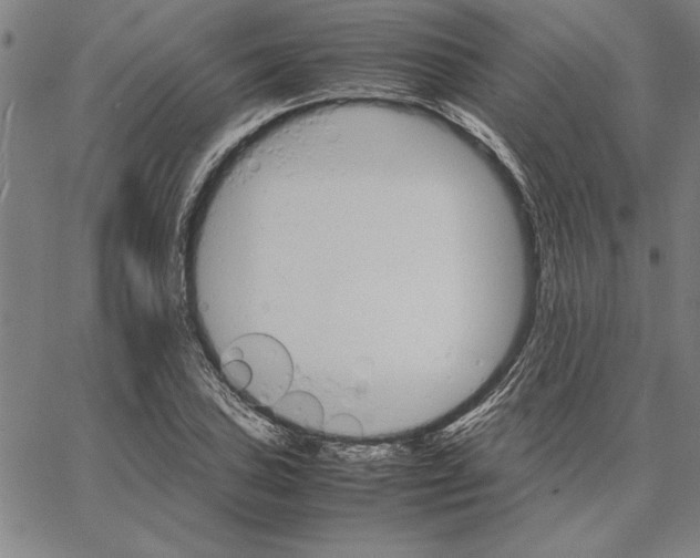 X0000066081027200604071726