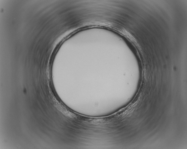 X0000066081028200604071726