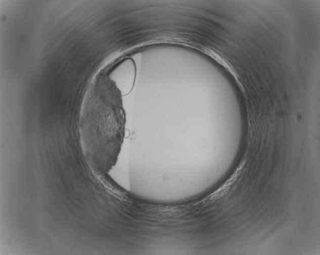 X0000066081029200604071726