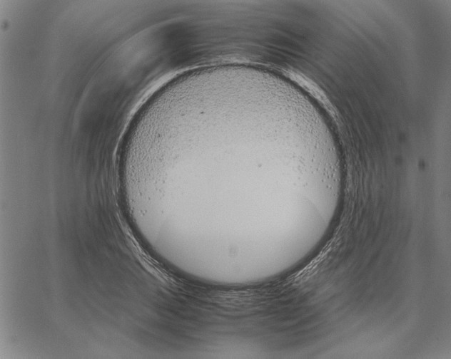 X0000066081031200604071727