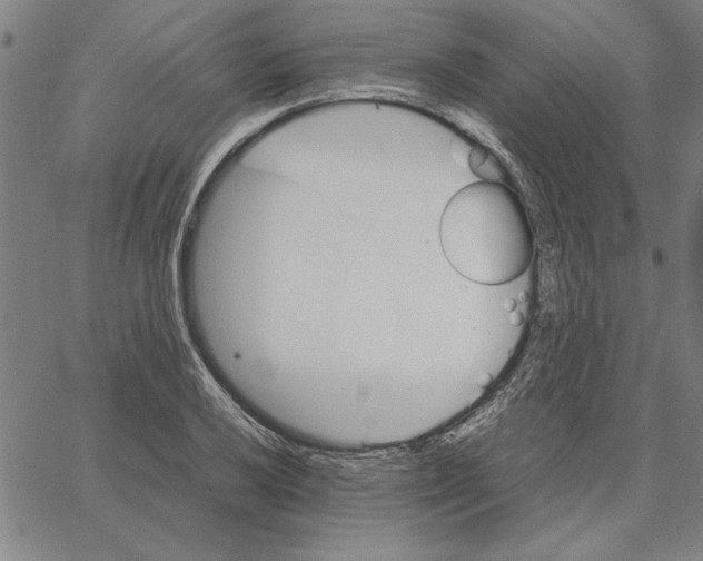 X0000066081032200604071727