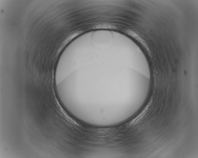 X0000066081033200604071727