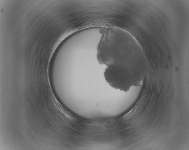 X0000066081035200604071727