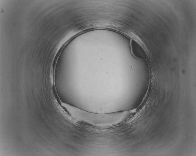 X0000066081036200604071727