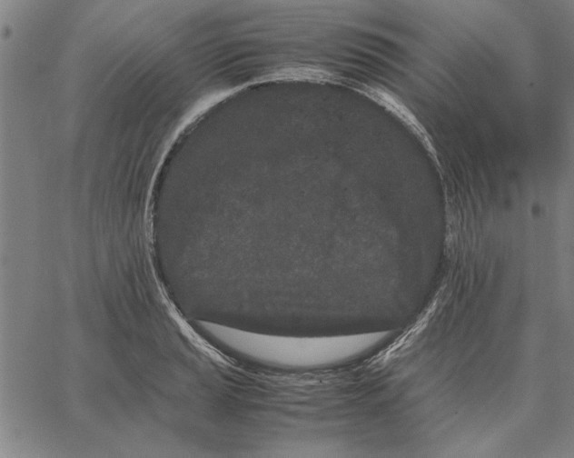 X0000066081037200604071727