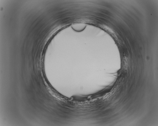 X0000066081039200604071727