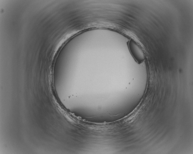 X0000066081040200604071727