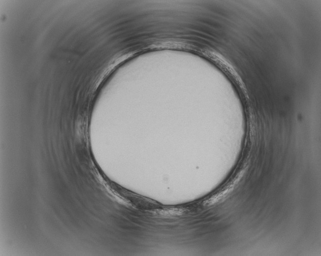 X0000066081041200604071727