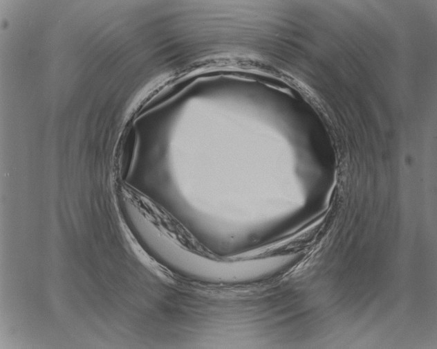 X0000066081042200604071727