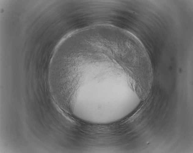 X0000066081043200604071727