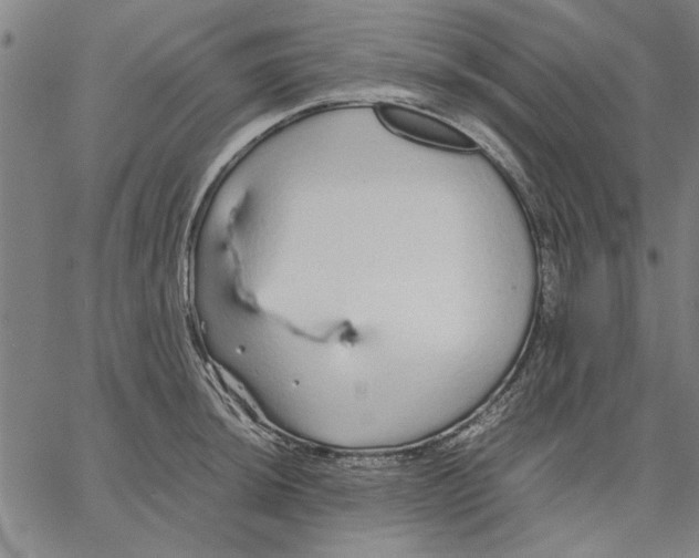 X0000066081044200604071727