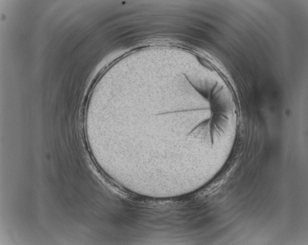 X0000066081045200604071727