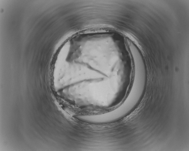 X0000066081046200604071727