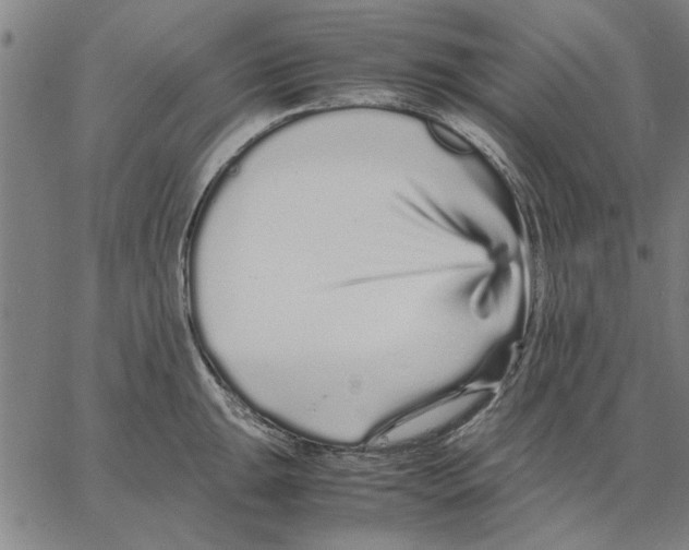 X0000066081047200604071727