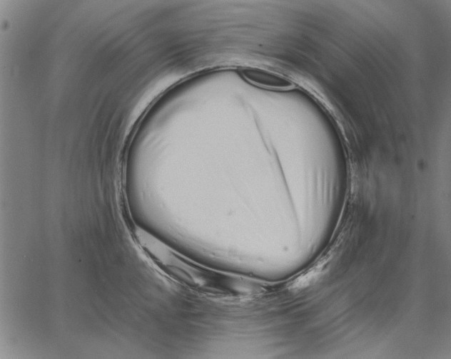 X0000066081048200604071727