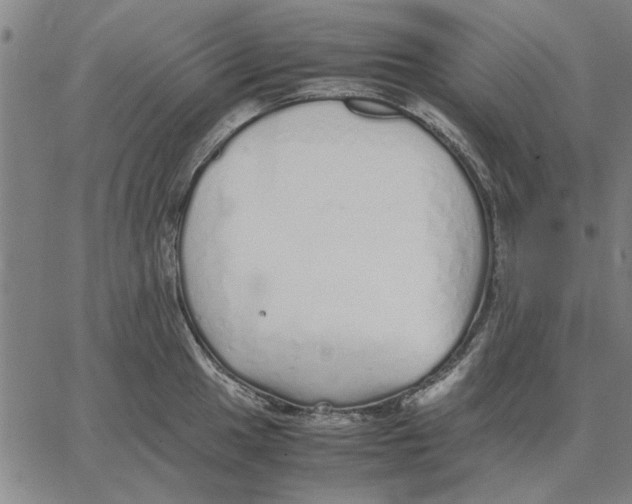 X0000066081049200604071727