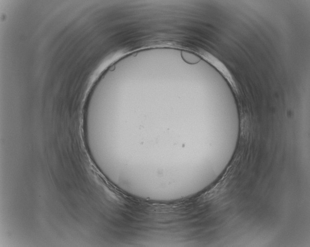 X0000066081051200604071727