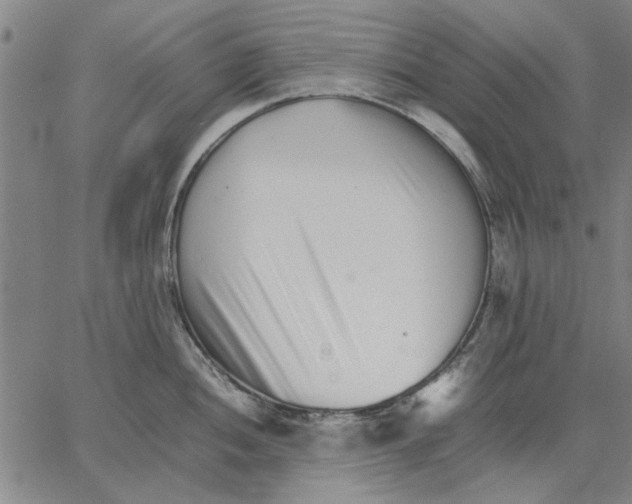 X0000066081052200604071727