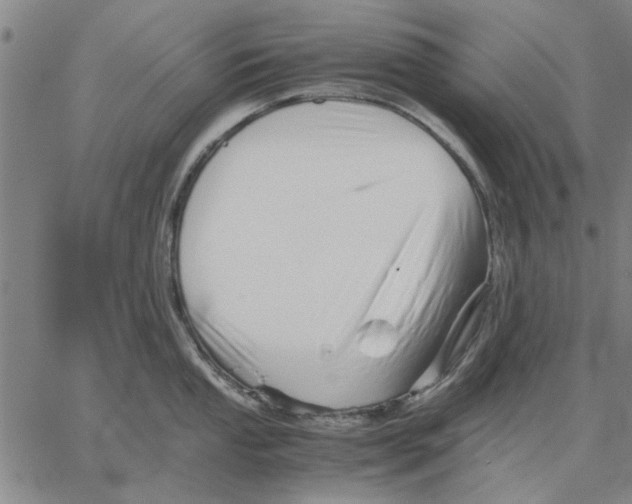 X0000066081053200604071727