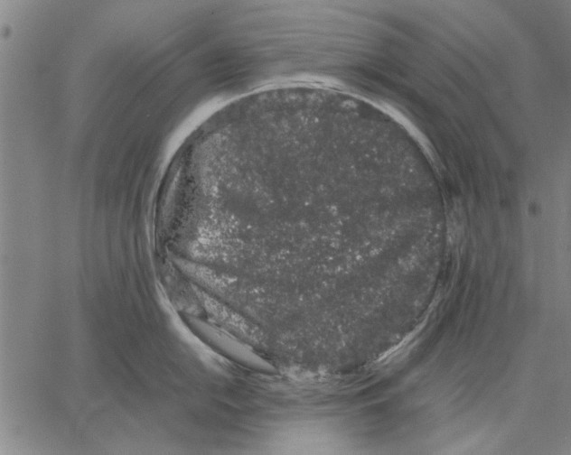 X0000066081054200604071727