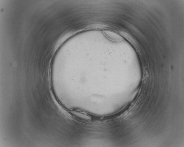 X0000066081055200604071727