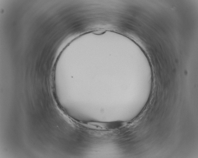 X0000066081056200604071727