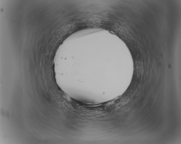 X0000066081057200604071726