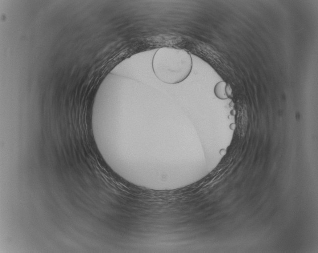 X0000066081058200604071726