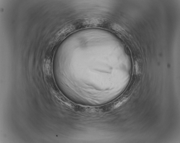 X0000066081059200604071726