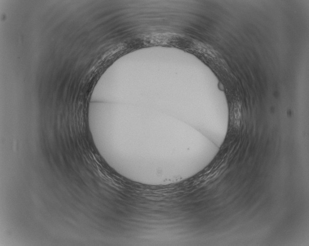 X0000066081060200604071726