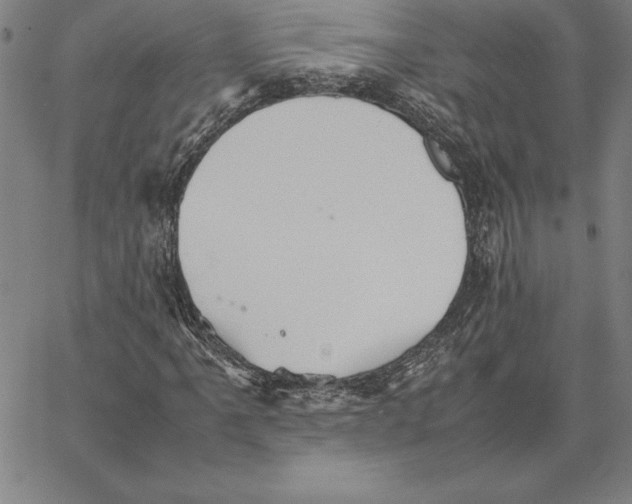 X0000066081061200604071726