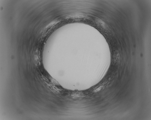 X0000066081062200604071726