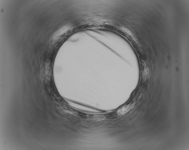 X0000066081063200604071726