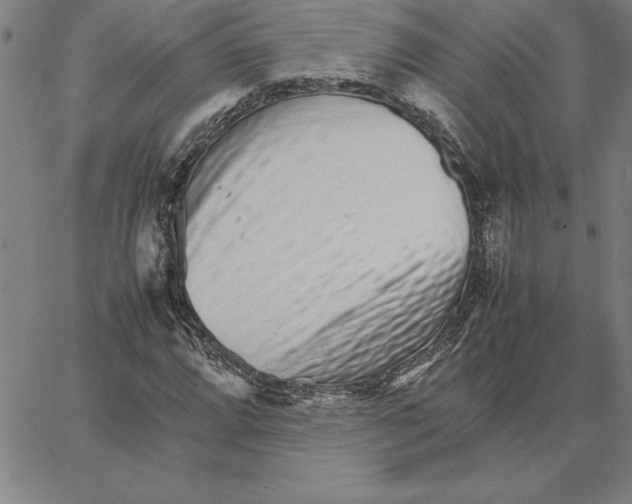 X0000066081064200604071726