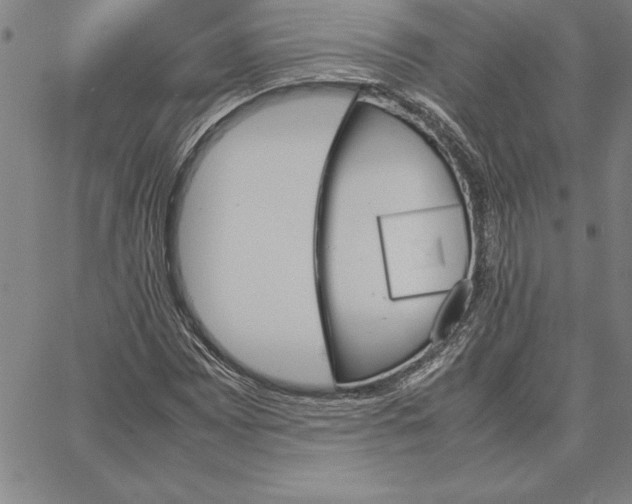 X0000066081065200604071726