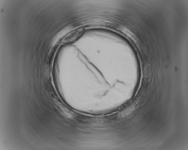 X0000066081067200604071726