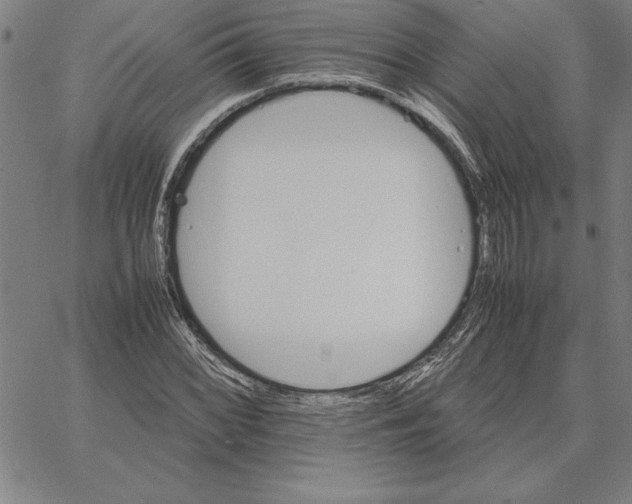 X0000066081068200604071726