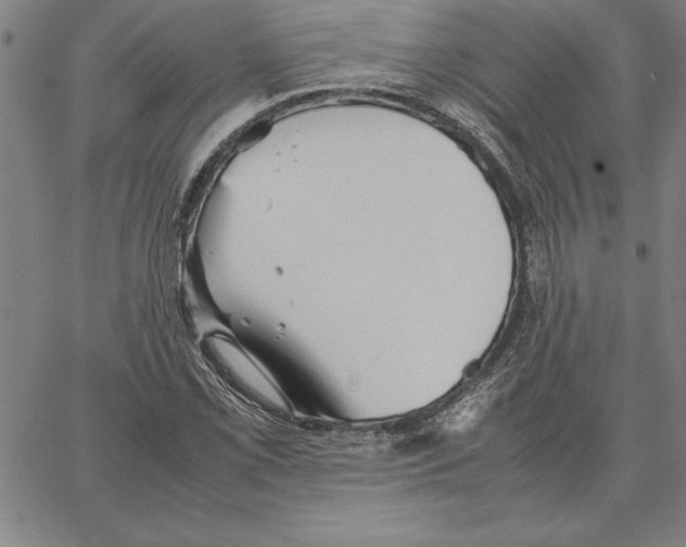 X0000066081069200604071726