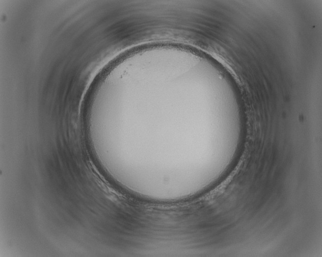 X0000066081070200604071726