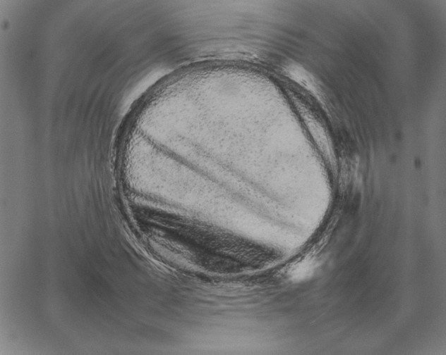 X0000066081071200604071726