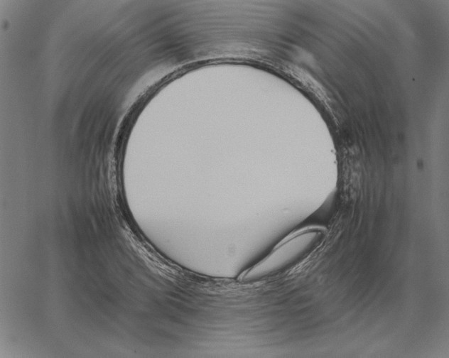 X0000066081072200604071726