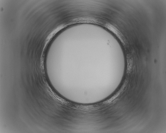 X0000066081074200604071726