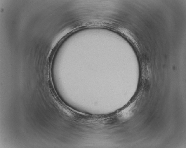 X0000066081075200604071726