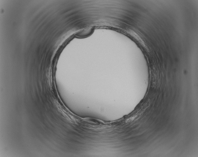 X0000066081076200604071726